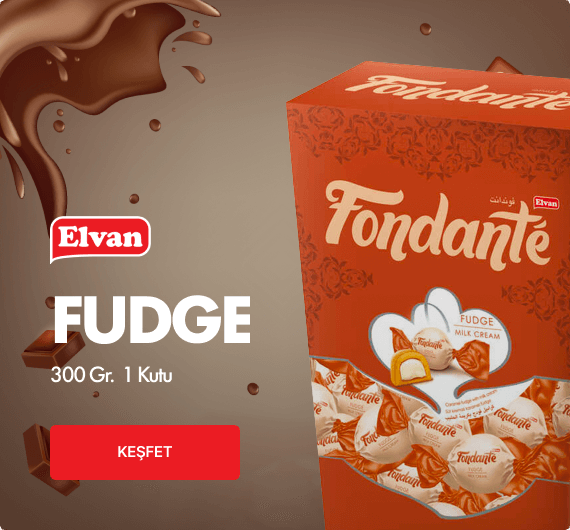 FUDGE