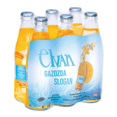 Elvan Gazoz Portakallı 250 ml 6′lı Paket Cam Şişe - 1