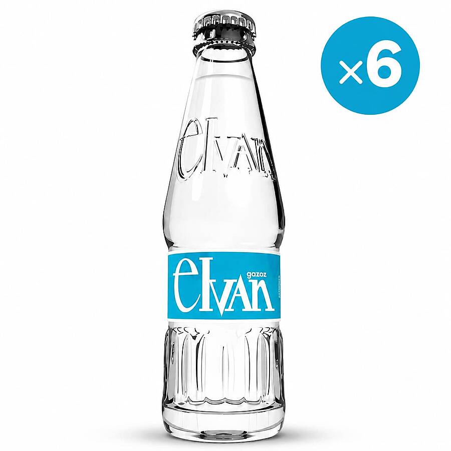 Elvan Soda Mixed Fruit Flavored 250 ml 6 Pack Glass Bottle - 1