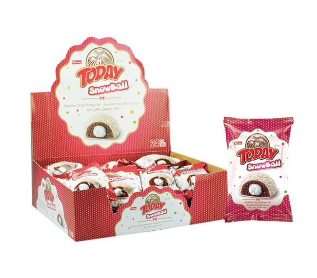Today Snowball Coconut Cake 40 Gr. 24 pcs (1 Box) - Elvan