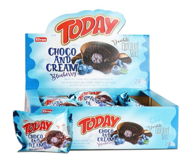 Today Double Choco And Cream Blueberry 50 Gr. 24 Pieces (1 Box) - Elvan