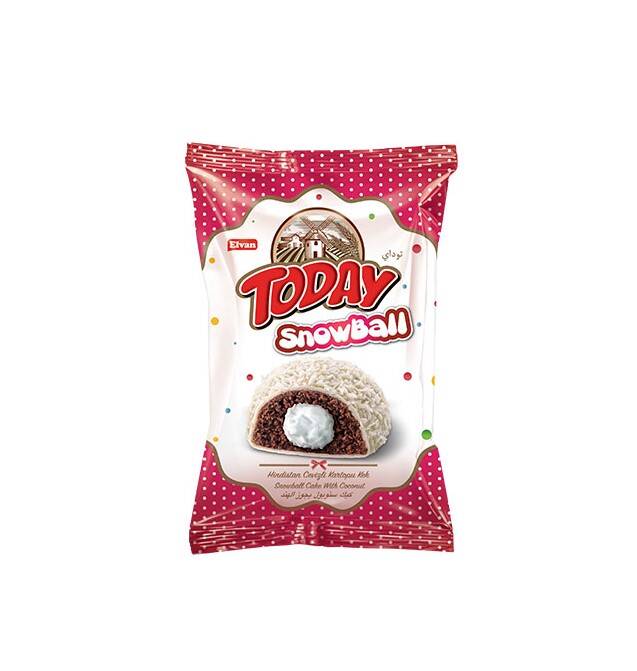 Today Snowball Hindistan Cevizli Kek 35 Gr. 24 Adet (1 Kutu) - 4